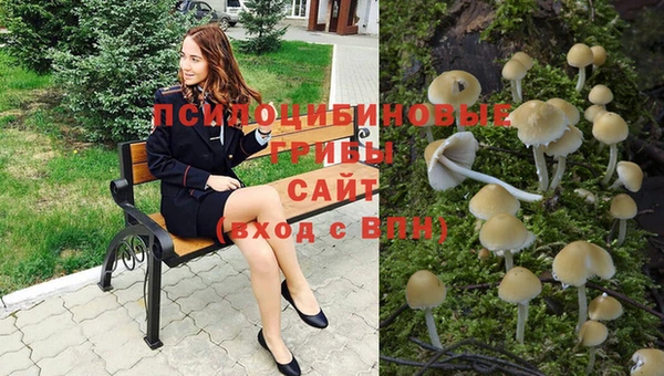 дурь Алексин