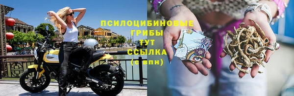 бутират Алзамай