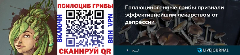 Галлюциногенные грибы Magic Shrooms  Пласт 